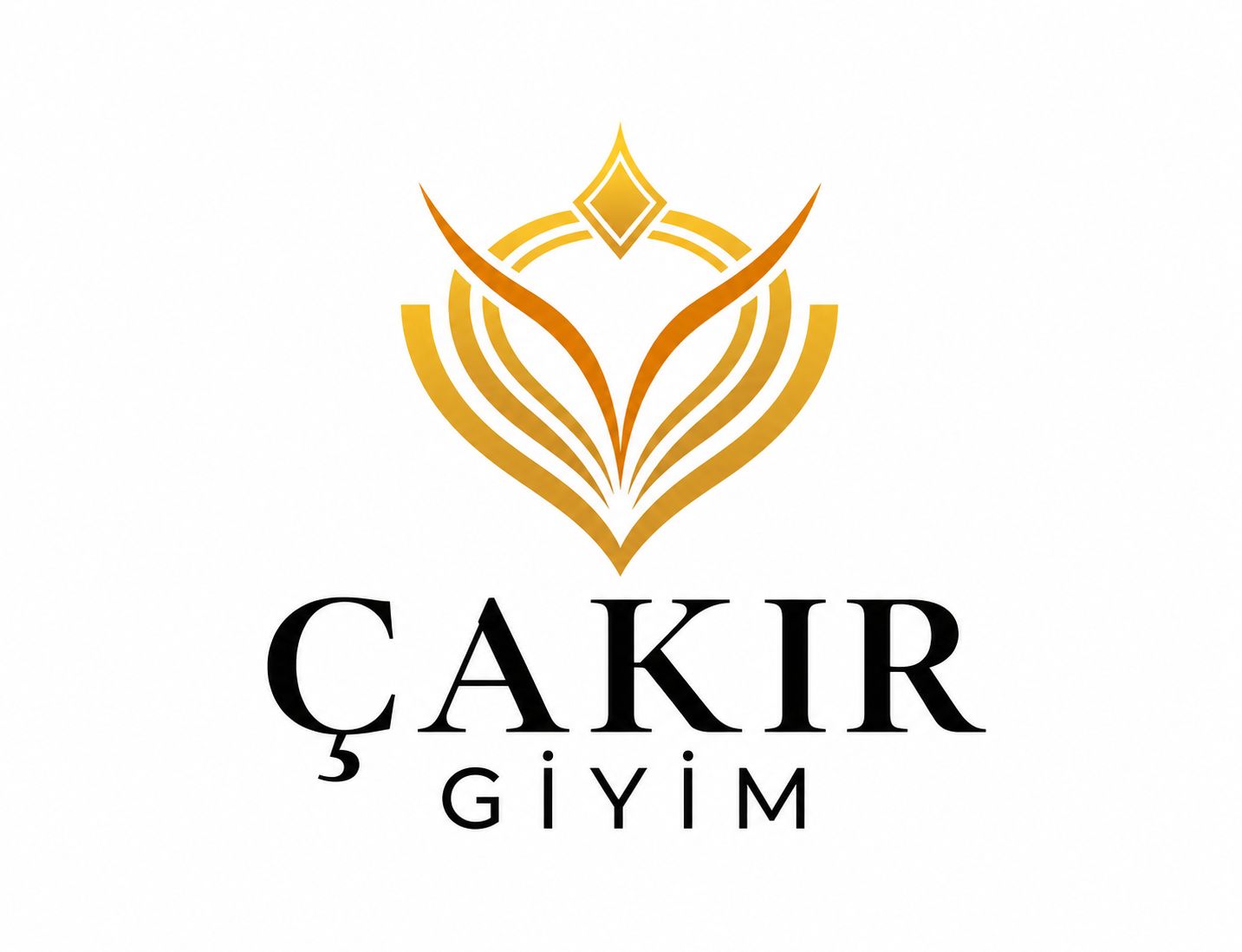 IMG-LOGO