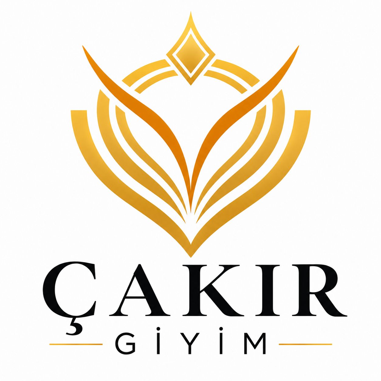 IMG-LOGO